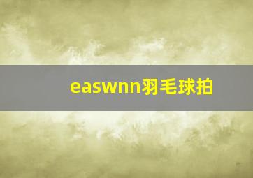 easwnn羽毛球拍