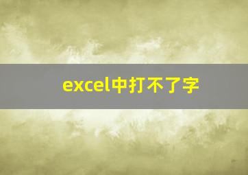 excel中打不了字