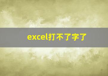 excel打不了字了