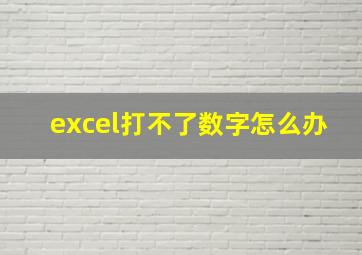 excel打不了数字怎么办