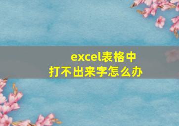 excel表格中打不出来字怎么办