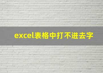 excel表格中打不进去字