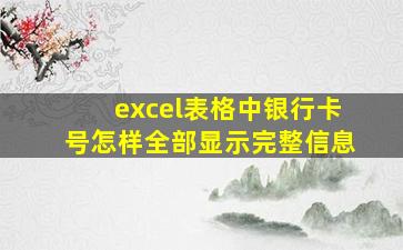 excel表格中银行卡号怎样全部显示完整信息