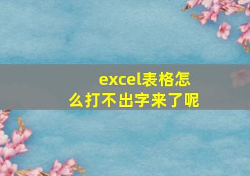 excel表格怎么打不出字来了呢