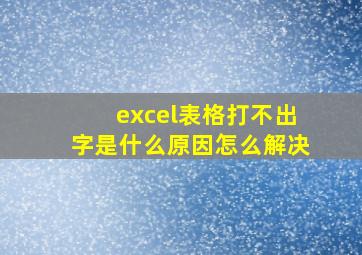 excel表格打不出字是什么原因怎么解决