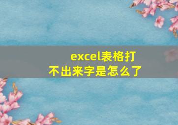 excel表格打不出来字是怎么了