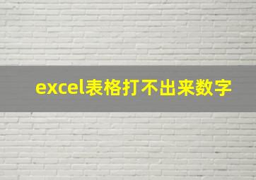 excel表格打不出来数字