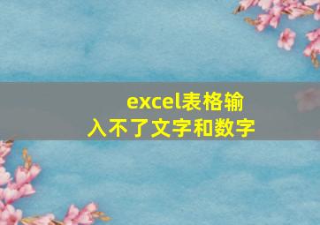 excel表格输入不了文字和数字