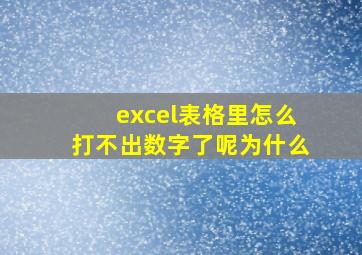 excel表格里怎么打不出数字了呢为什么