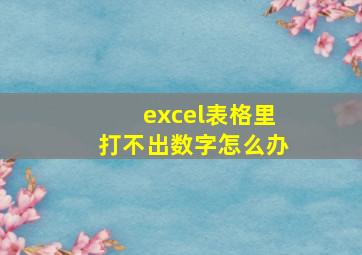 excel表格里打不出数字怎么办