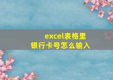 excel表格里银行卡号怎么输入