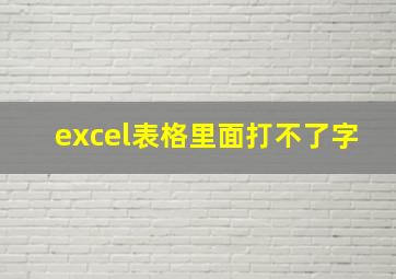 excel表格里面打不了字