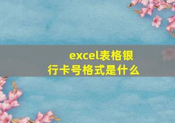 excel表格银行卡号格式是什么