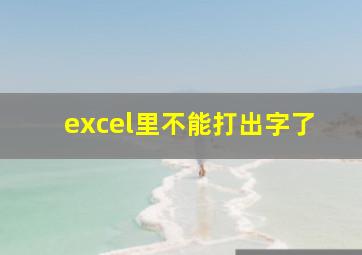 excel里不能打出字了