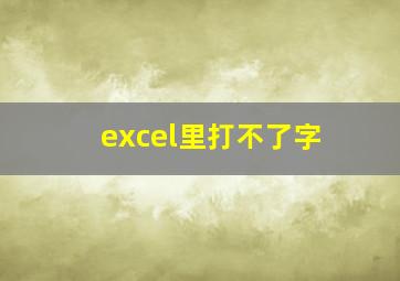 excel里打不了字