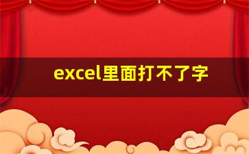 excel里面打不了字