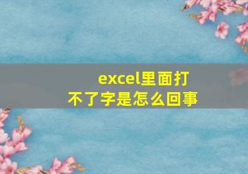 excel里面打不了字是怎么回事