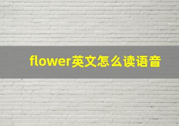 flower英文怎么读语音