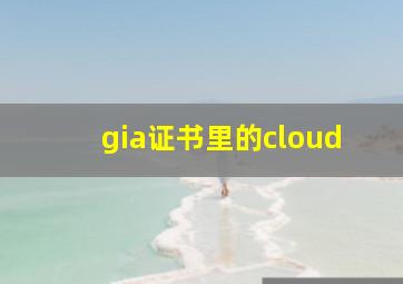 gia证书里的cloud