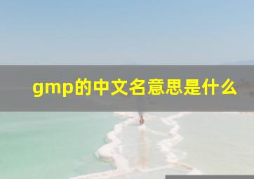 gmp的中文名意思是什么