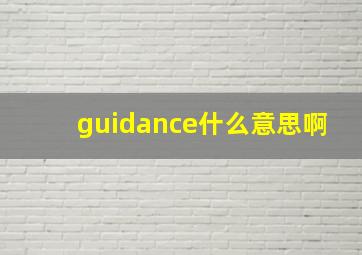 guidance什么意思啊