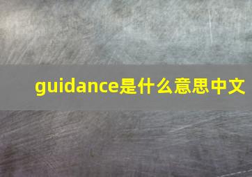 guidance是什么意思中文