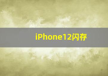 iPhone12闪存