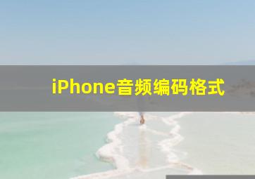 iPhone音频编码格式