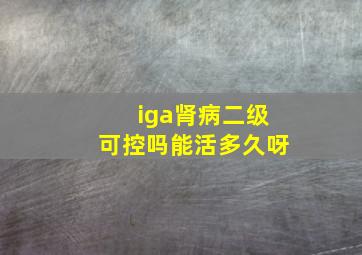 iga肾病二级可控吗能活多久呀