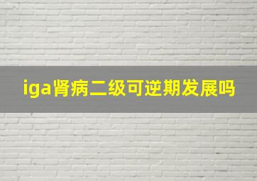 iga肾病二级可逆期发展吗