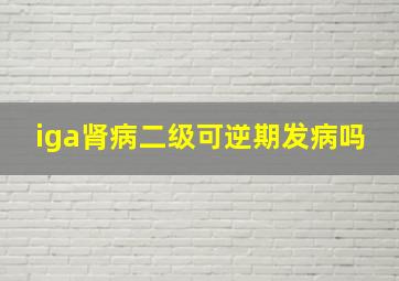 iga肾病二级可逆期发病吗