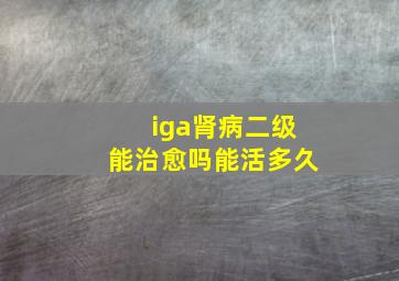 iga肾病二级能治愈吗能活多久