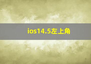 ios14.5左上角