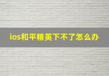 ios和平精英下不了怎么办