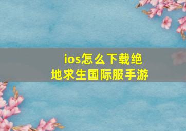 ios怎么下载绝地求生国际服手游