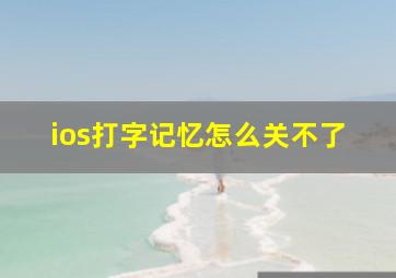 ios打字记忆怎么关不了