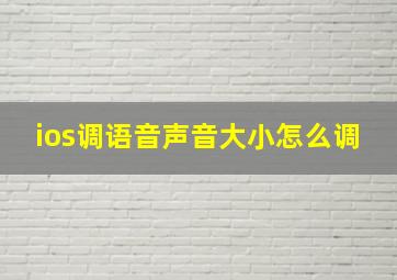 ios调语音声音大小怎么调