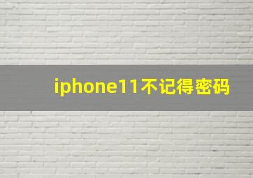 iphone11不记得密码