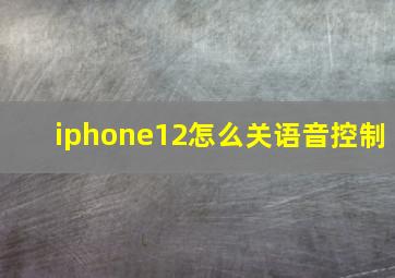 iphone12怎么关语音控制