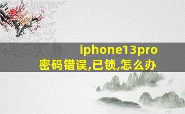 iphone13pro密码错误,已锁,怎么办