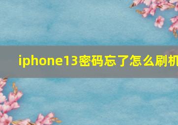 iphone13密码忘了怎么刷机