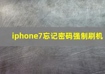 iphone7忘记密码强制刷机