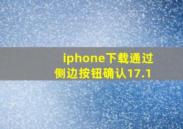 iphone下载通过侧边按钮确认17.1