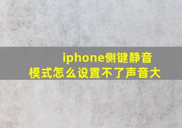 iphone侧键静音模式怎么设置不了声音大