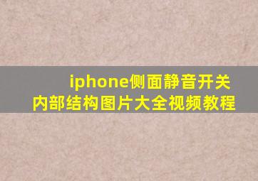 iphone侧面静音开关内部结构图片大全视频教程