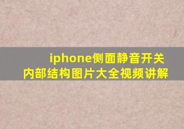 iphone侧面静音开关内部结构图片大全视频讲解