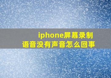 iphone屏幕录制语音没有声音怎么回事