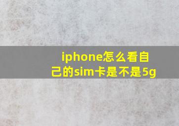 iphone怎么看自己的sim卡是不是5g