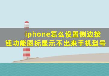 iphone怎么设置侧边按钮功能图标显示不出来手机型号