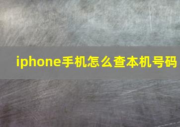 iphone手机怎么查本机号码